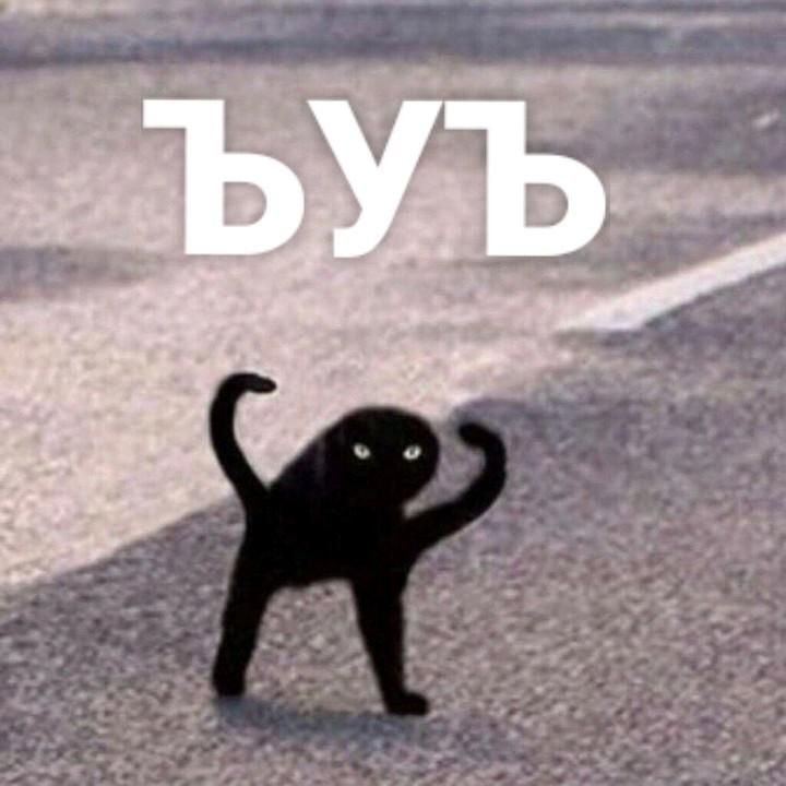 ЪУЪ Мем кот оригинал