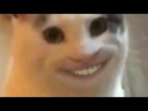 Кот улыбаетсяс зубом Мем