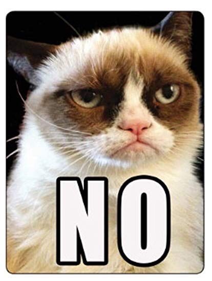 Мемы с котиками