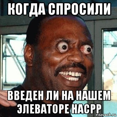 Нигер замахивается тапком