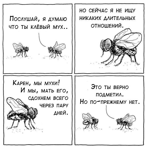 Муха прикол