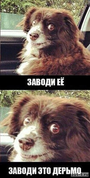 Заводи заводи это дерьмо