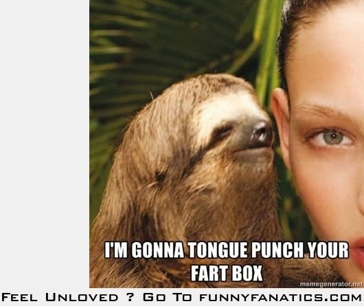 Ленивец Мем