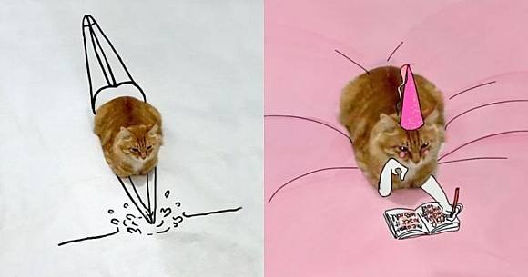 Стоящий рыжий котенок Мем