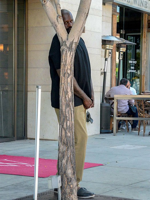 Негр прячется за деревом