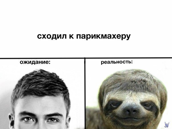 Мем Ленивец я помтригся