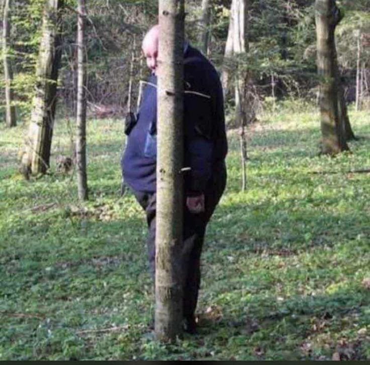 Прячется за деревом