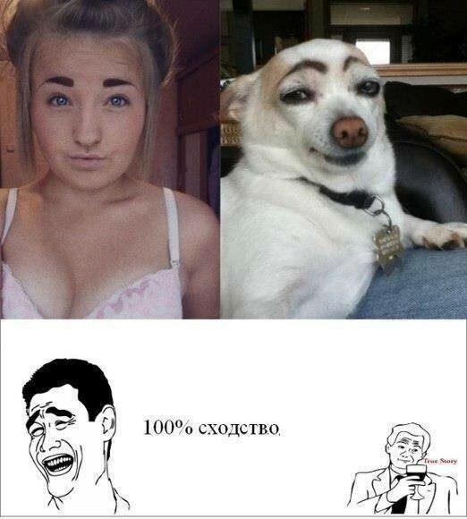 Девушка держит собаку за морду