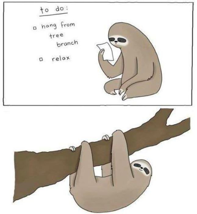 Ленивец прикольный