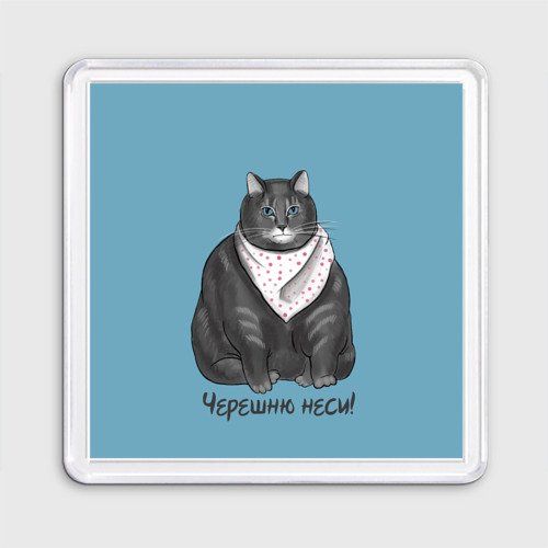 Кот в слюнявчике