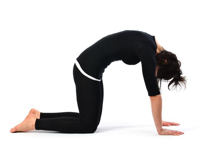 Упражнение кошечка для позвоночника