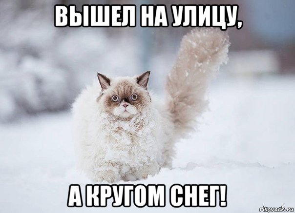 Снегопад Мем