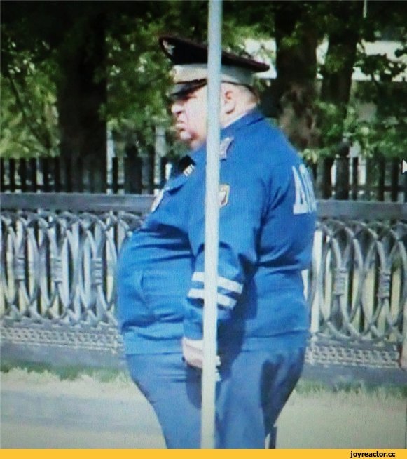 Толстый полицейский спрятался за столбом