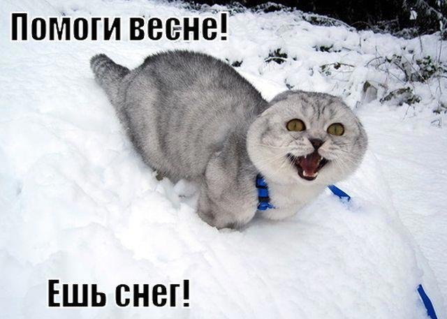 Мемы про весну