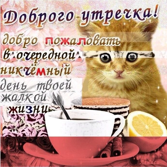 Юмористические открытки с добрым утром