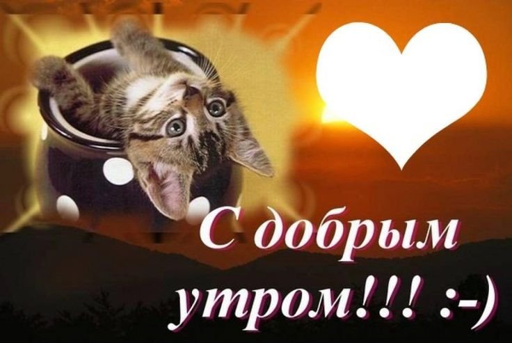 Открытки с добрым утром прикольные
