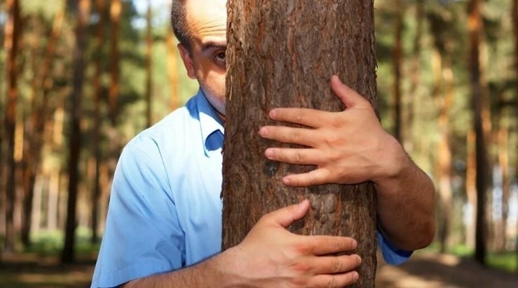 Прячется за деревом