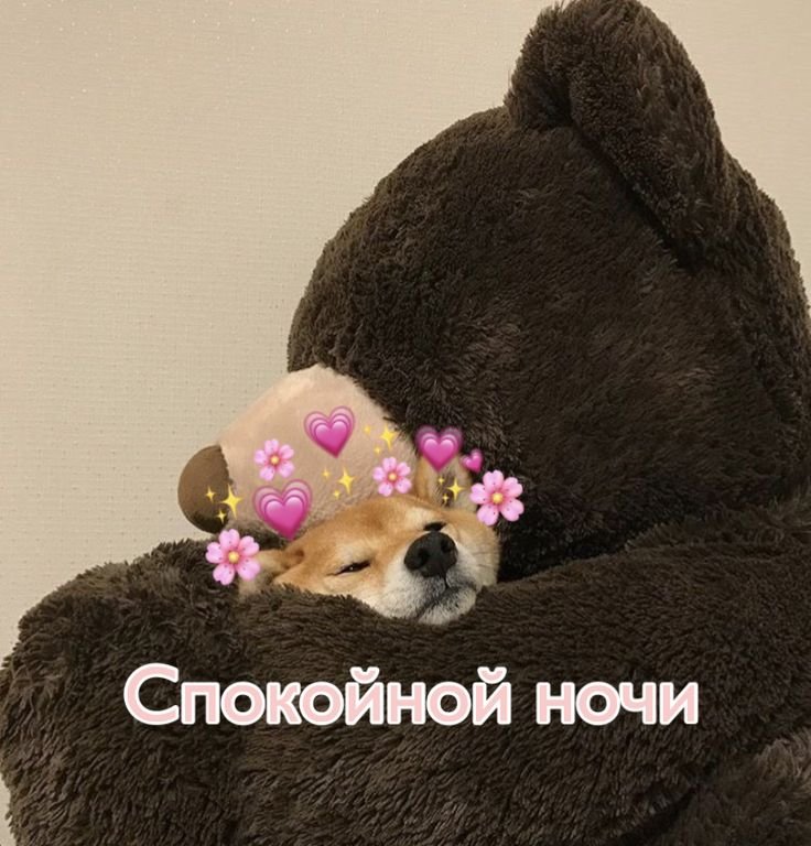 Милые пикчи сладких снов