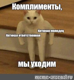 Кот качок Мем