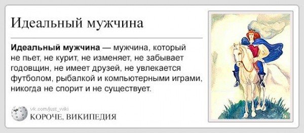 Идеальный мужик прикол