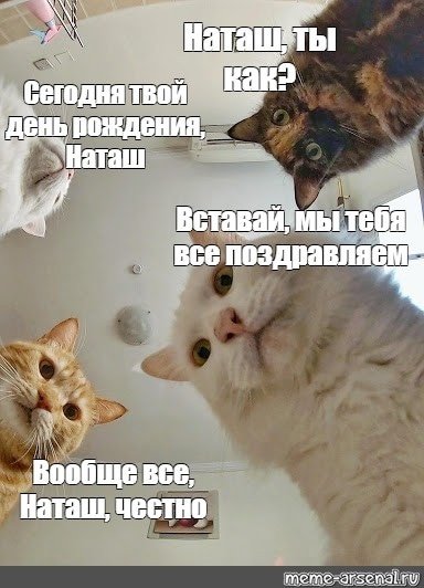 Поздравление Наташе с днем рождения с котами