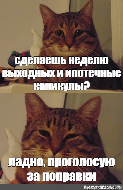 Кот ну ладно