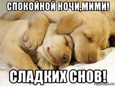 Спокойной ночи сладких снов Мем