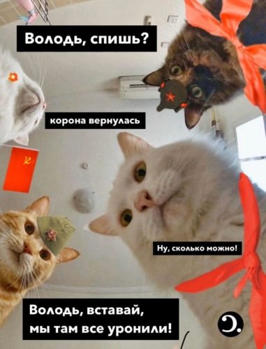 С днём рождения Наташа с котами