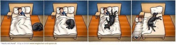 Хозяева лежат в постели