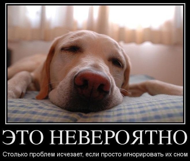 Демотиватор спокойной ночи прикольный