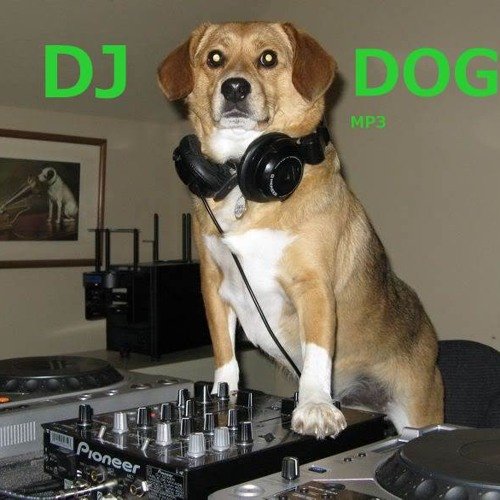 DJ пес