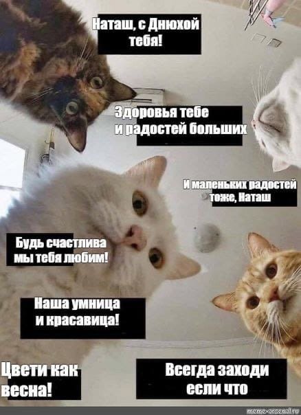 Мемы про Наташу
