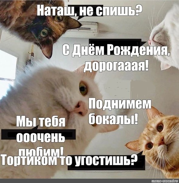 С днем рождения Наташа котики Мем