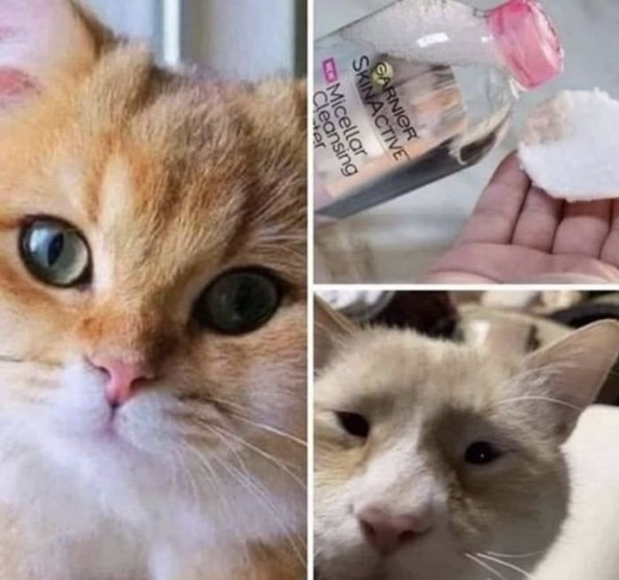 Девушки с макияжем и без