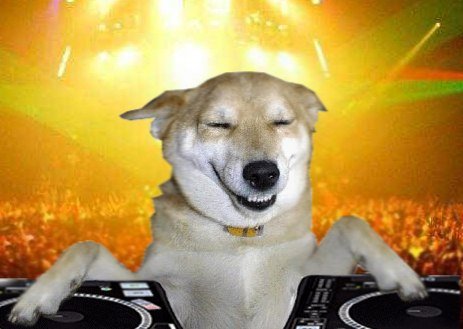 Собака диджей Мем
