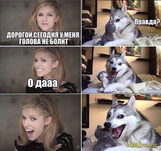 Мемы с надписями