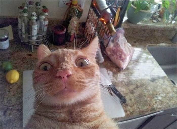 Отпусти меня чудо трава