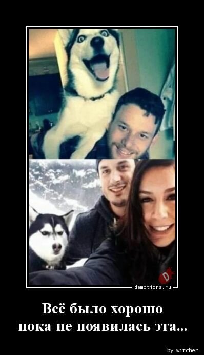 Демотиваторы для даунов