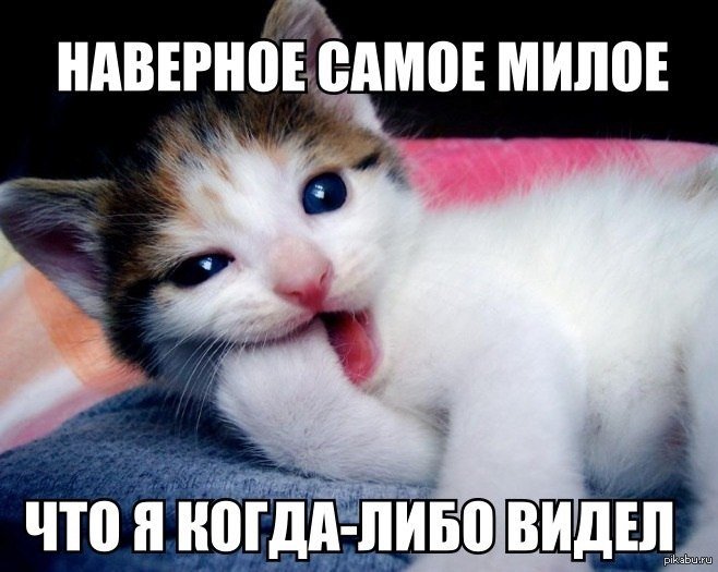 Милота надпись