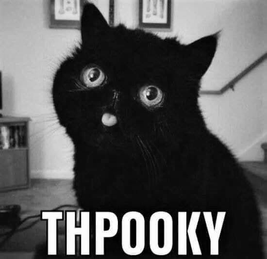 Черный кот с высунутым языком