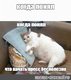 Толстый кот лежит и плачет