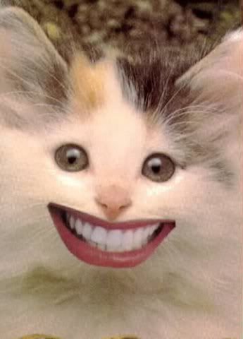 Улыбка кота