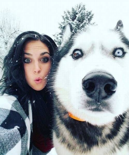 Хаски девочка