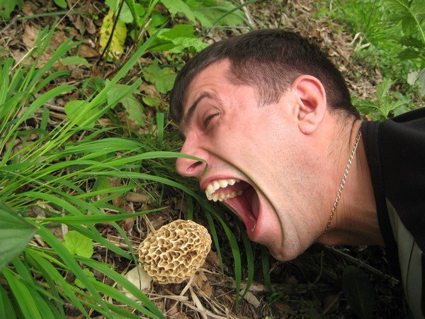 УГАРНЫЙ гриб