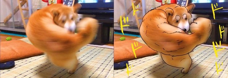 Собака с бицухой Мем