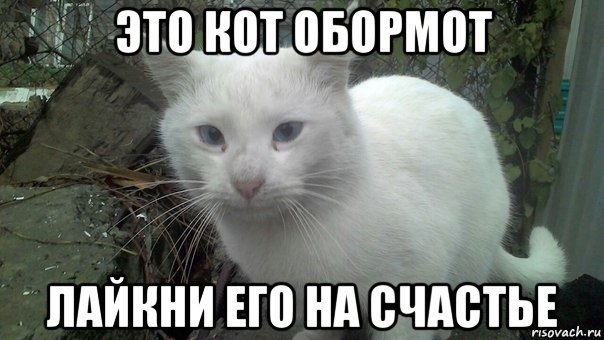 Кто такой кот обормот