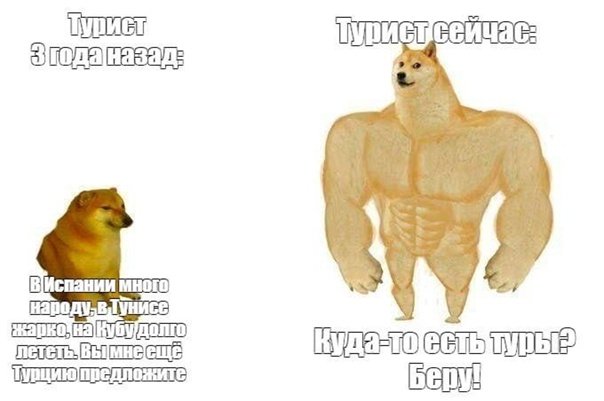 Собака Мем пук