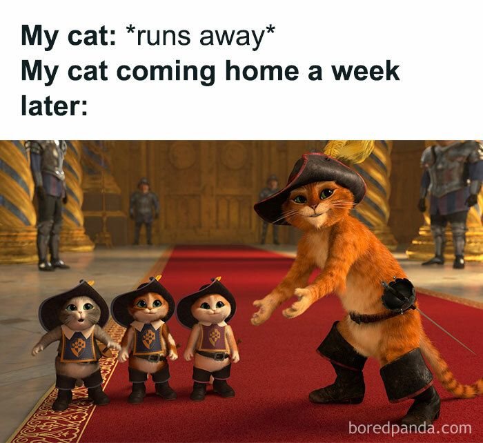 Кот в сапогах три чертенка