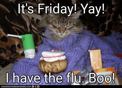 Простуженный кот