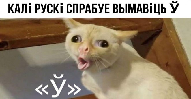 Кот болеет Мем